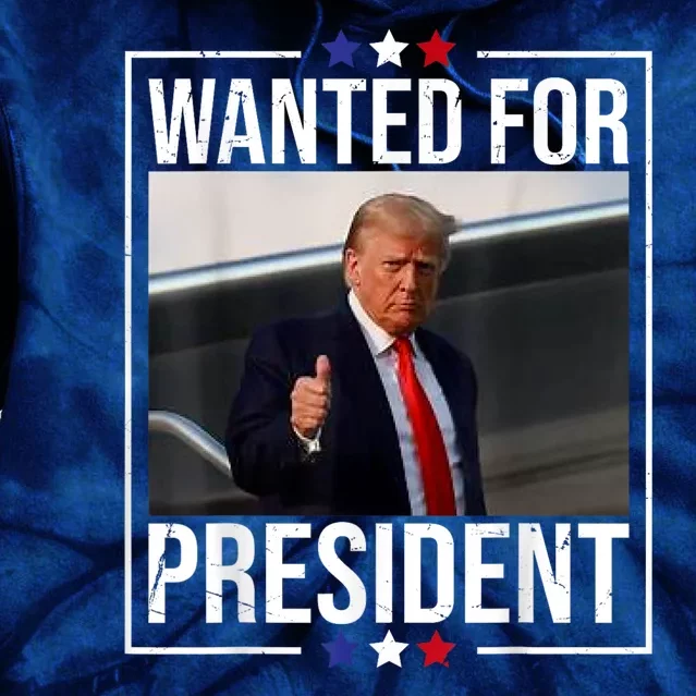 Wanted Donald Trump For President 2024 Trump Mug Shot USA Tie Dye Hoodie