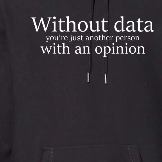 Without Data Youre Just Another Person With An Opinion Premium Hoodie