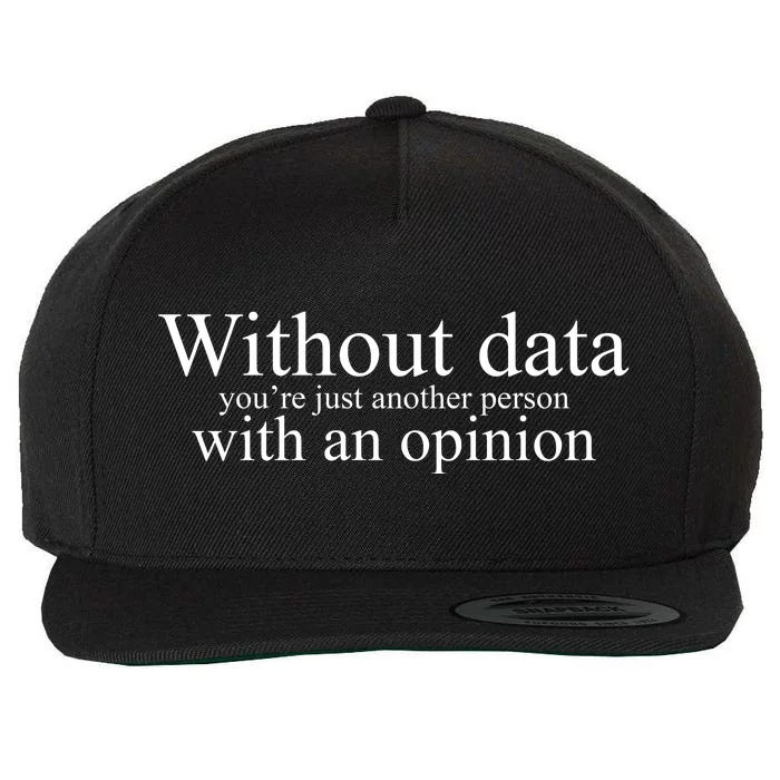 Without Data Youre Just Another Person With An Opinion Wool Snapback Cap