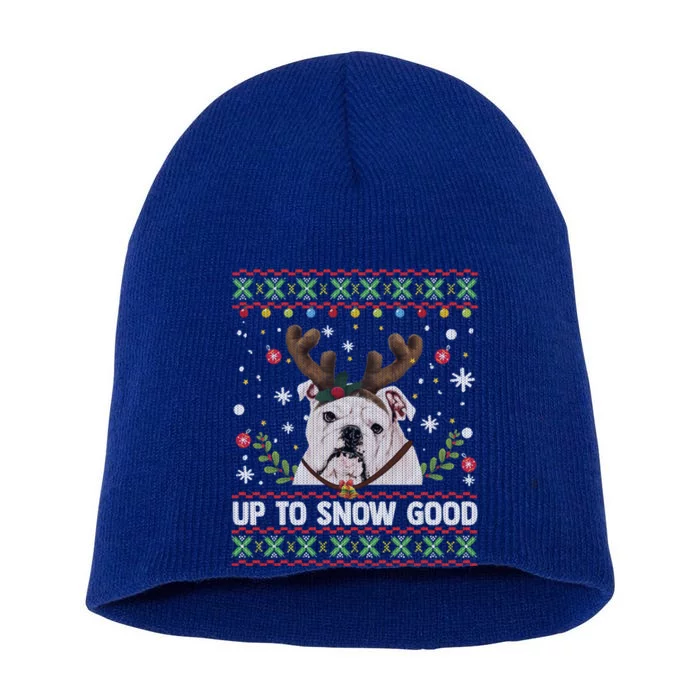 White English Bulldog Dog Reindeer Ugly Christmas Sweater Gift Short Acrylic Beanie