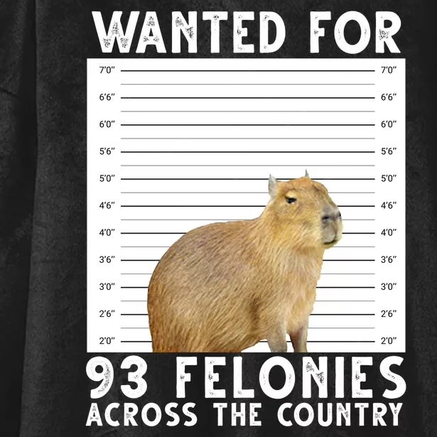 Wanted For 93 Felonies Across The Country Capybara Mugshot Hooded Wearable Blanket