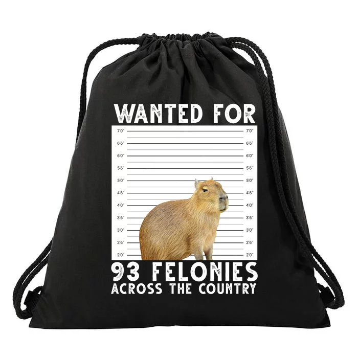 Wanted For 93 Felonies Across The Country Capybara Mugshot Drawstring Bag