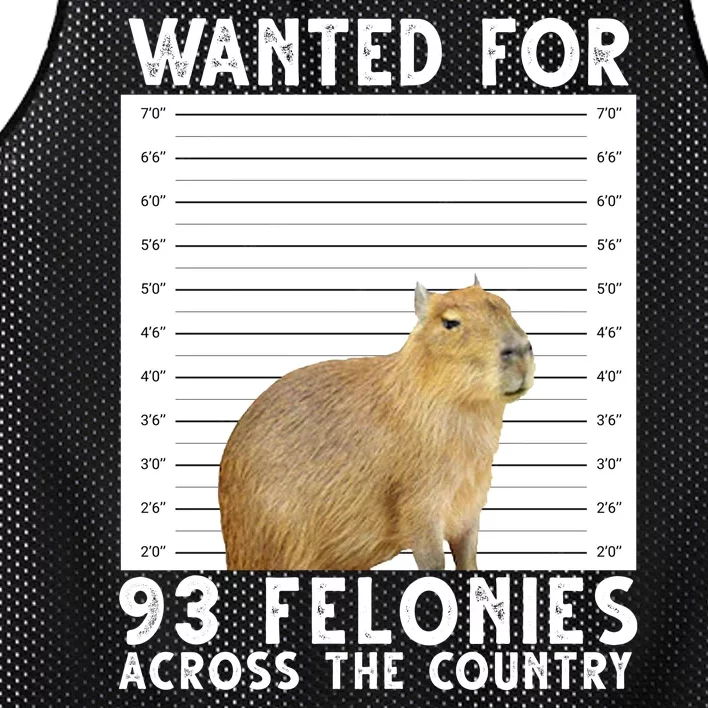 Wanted For 93 Felonies Across The Country Capybara Mugshot Mesh Reversible Basketball Jersey Tank