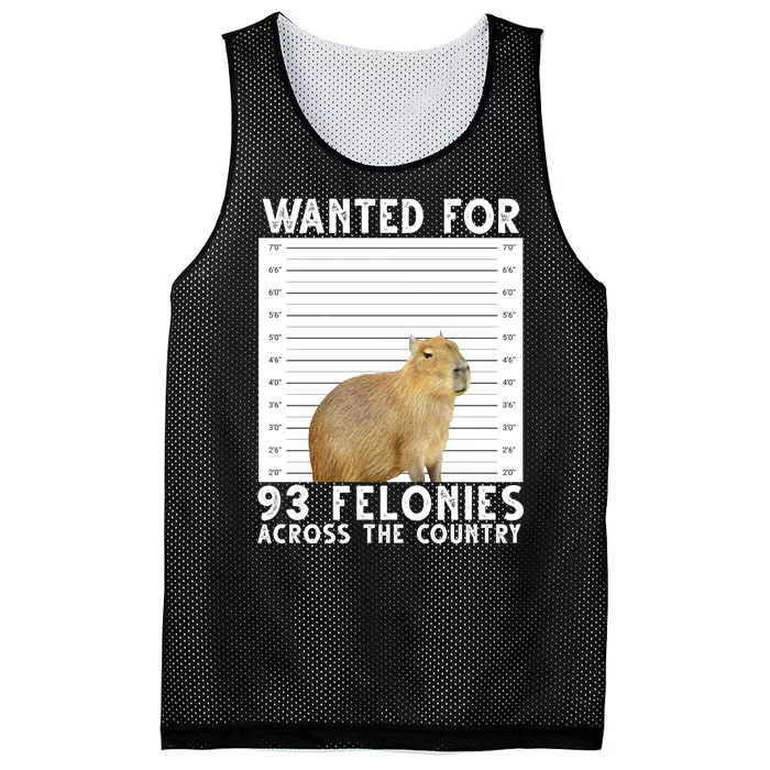 Wanted For 93 Felonies Across The Country Capybara Mugshot Mesh Reversible Basketball Jersey Tank