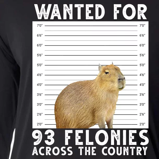 Wanted For 93 Felonies Across The Country Capybara Mugshot Cooling Performance Long Sleeve Crew