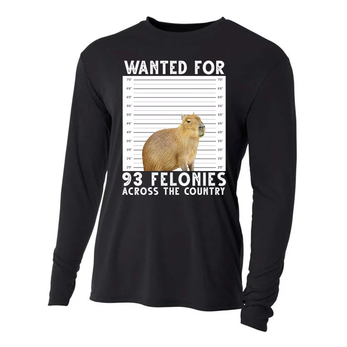 Wanted For 93 Felonies Across The Country Capybara Mugshot Cooling Performance Long Sleeve Crew