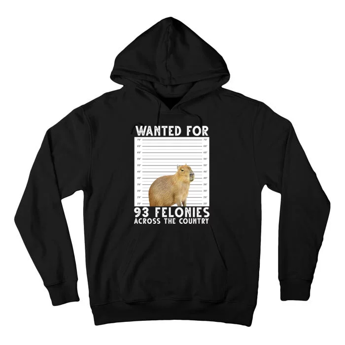 Wanted For 93 Felonies Across The Country Capybara Mugshot Tall Hoodie