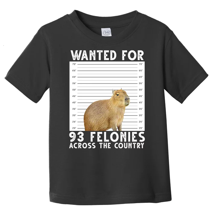 Wanted For 93 Felonies Across The Country Capybara Mugshot Toddler T-Shirt