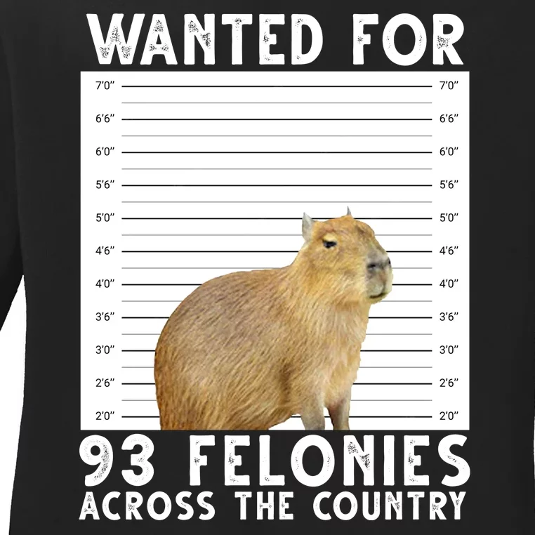 Wanted For 93 Felonies Across The Country Capybara Mugshot Ladies Long Sleeve Shirt