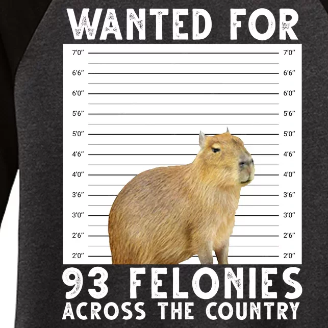 Wanted For 93 Felonies Across The Country Capybara Mugshot Women's Tri-Blend 3/4-Sleeve Raglan Shirt