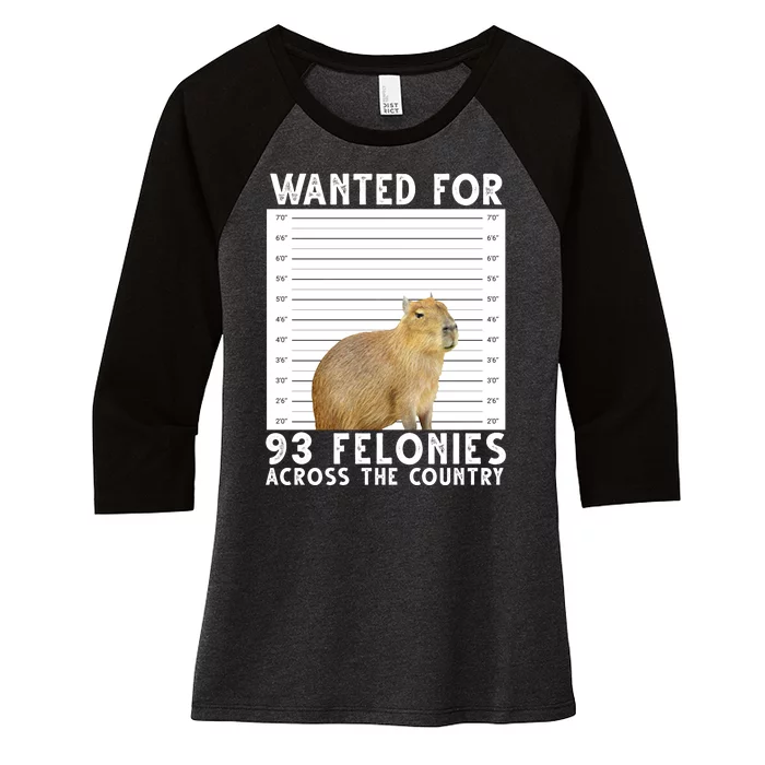 Wanted For 93 Felonies Across The Country Capybara Mugshot Women's Tri-Blend 3/4-Sleeve Raglan Shirt