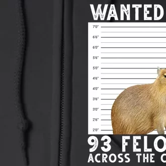 Wanted For 93 Felonies Across The Country Capybara Mugshot Full Zip Hoodie