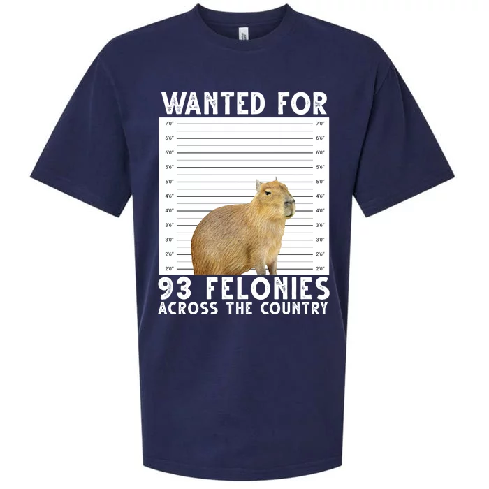 Wanted For 93 Felonies Across The Country Capybara Mugshot Sueded Cloud Jersey T-Shirt