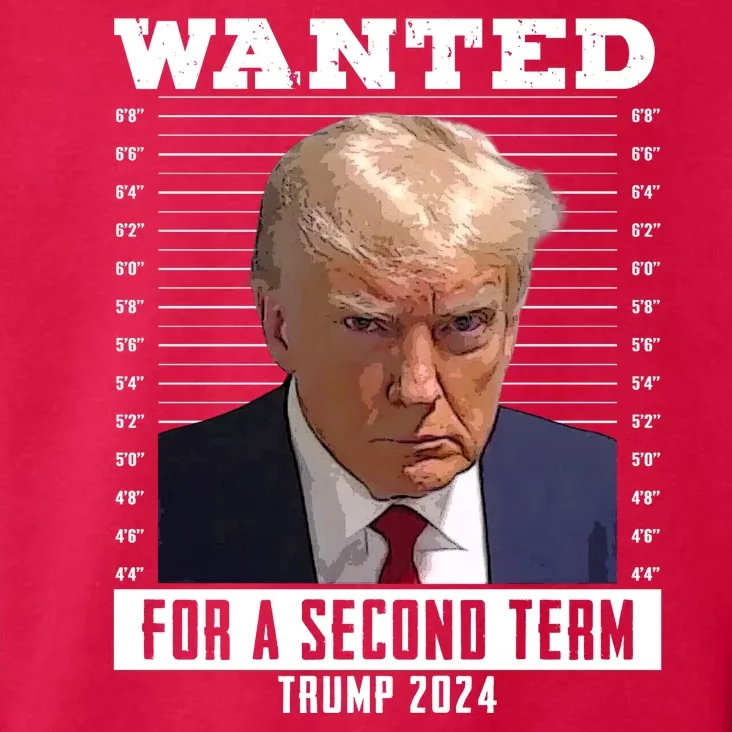 Wanted For A Second Term Trump 2024 Mugshot Toddler Hoodie