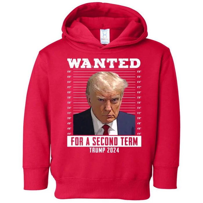 Wanted For A Second Term Trump 2024 Mugshot Toddler Hoodie