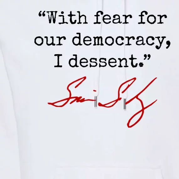 With Fear For Our Democracy I Dissent Premium Hoodie