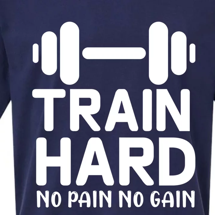 Workout Funny Gift Train Hard No Pain No Gain Cool Gift Sueded Cloud Jersey T-Shirt