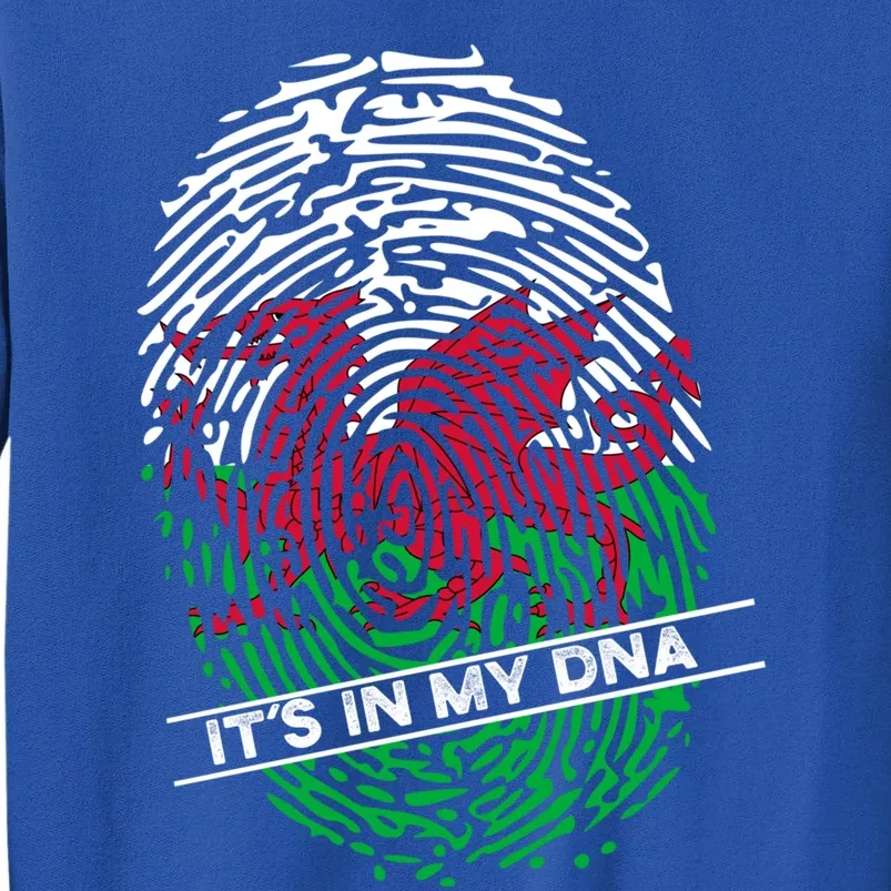 Welsh Flag Its In My Dna Cool Gift Sweatshirt