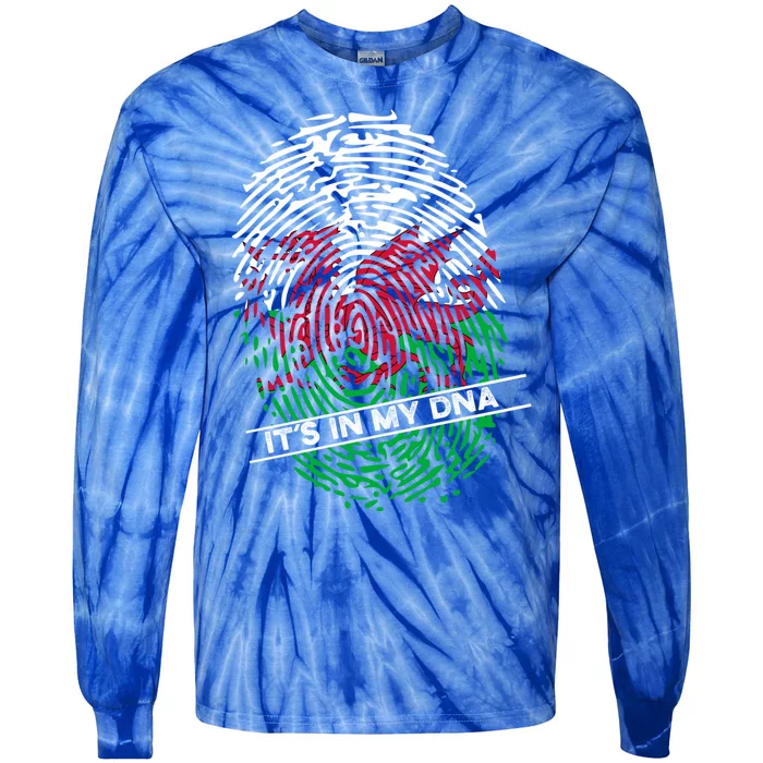 Welsh Flag Its In My Dna Cool Gift Tie-Dye Long Sleeve Shirt