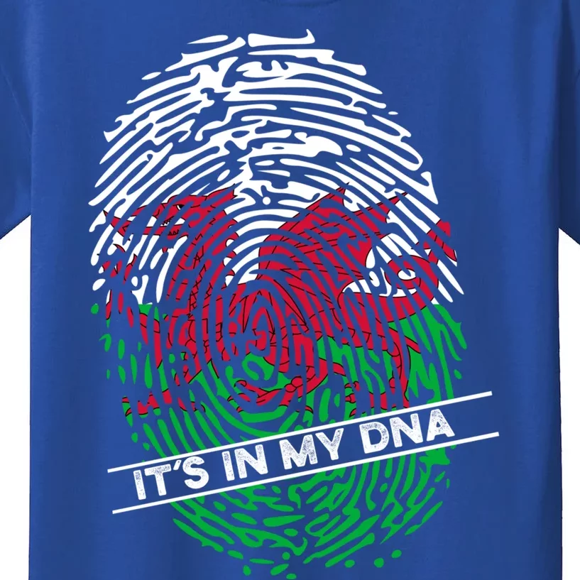 Welsh Flag Its In My Dna Cool Gift Kids T-Shirt