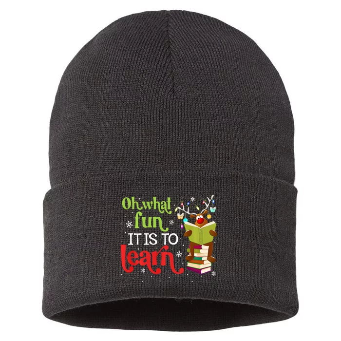 What Fun It Is To Learn Teacher Matching Christmas Long Sleeve Sustainable Knit Beanie