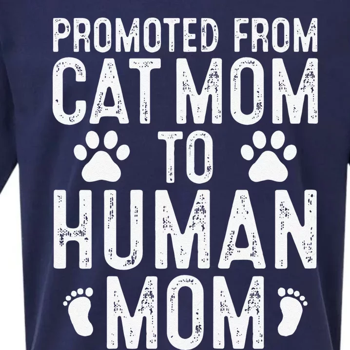 Womens Funny New Mom Cat Lover Promoted From Cat Mom To Human Mom Sueded Cloud Jersey T-Shirt