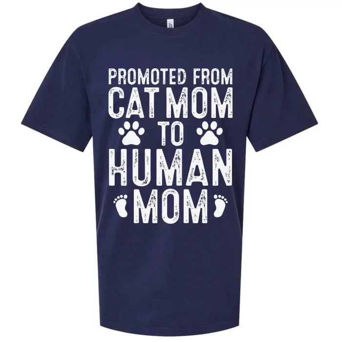 Womens Funny New Mom Cat Lover Promoted From Cat Mom To Human Mom Sueded Cloud Jersey T-Shirt