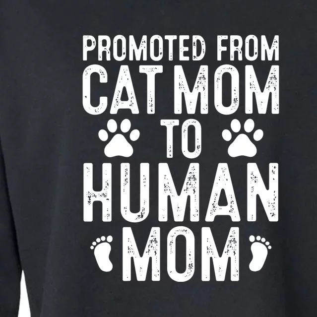 Womens Funny New Mom Cat Lover Promoted From Cat Mom To Human Mom VNeck Cropped Pullover Crew