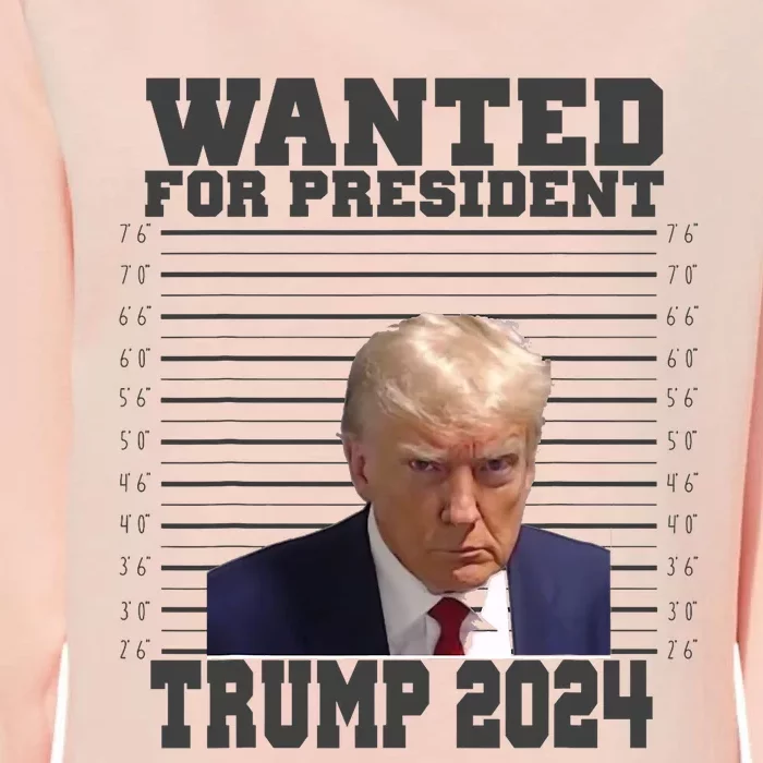 Wanted For President 2024 Trump Mugshot Trump Supporter Womens California Wash Sweatshirt