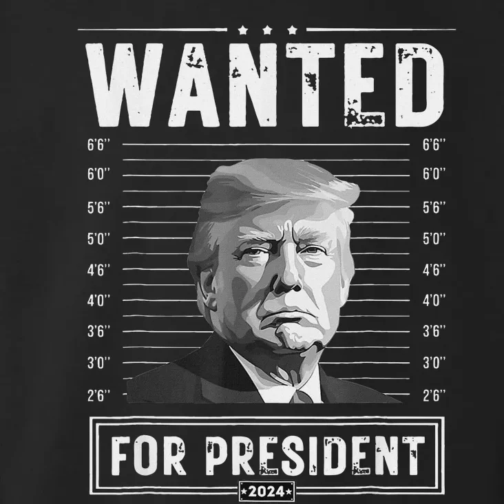 Wanted For President 2024 Donald Trump Never Surrender Toddler Hoodie