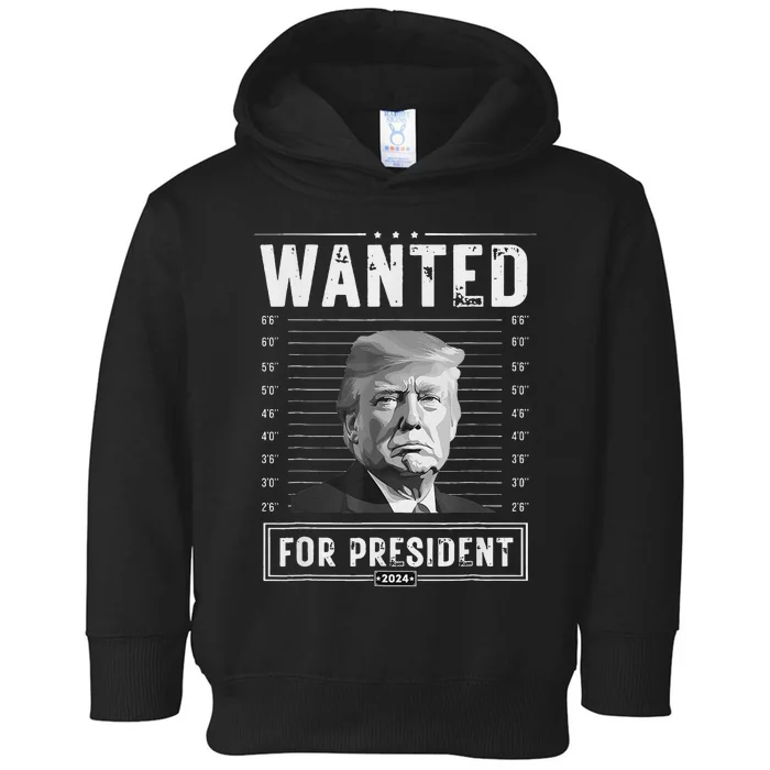 Wanted For President 2024 Donald Trump Never Surrender Toddler Hoodie