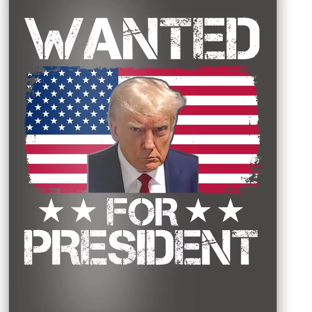 Wanted For President Donald Trump USA Election Poster