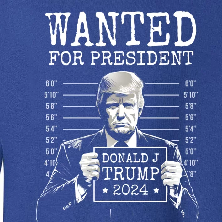 Wanted For President 2024 Donald Trump Great Gift Toddler Sweatshirt