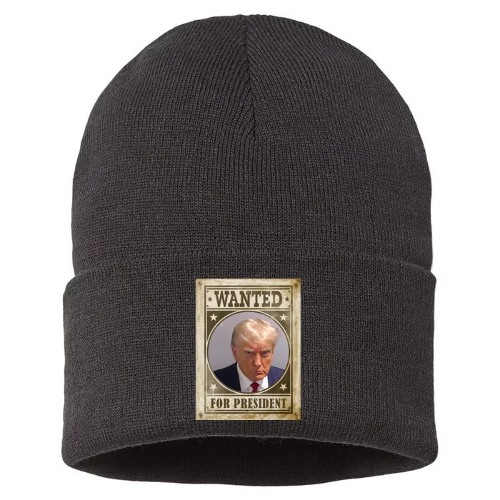 Wanted For President Funny Donald Trump Mugshot Sustainable Knit Beanie