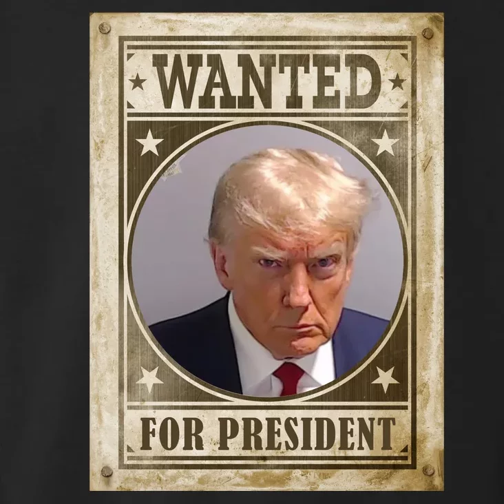 Wanted For President Funny Donald Trump Mugshot Toddler Hoodie