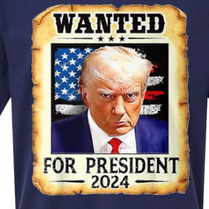 Wanted For President 2024 Donald Trump Sueded Cloud Jersey T-Shirt