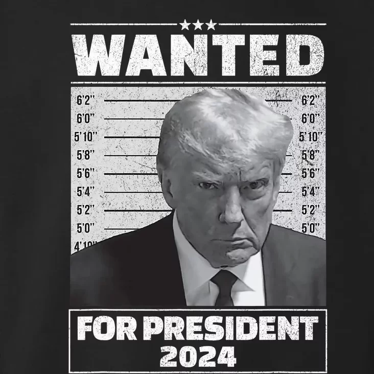 Wanted For President 2024 Trump Mugshot Toddler Hoodie