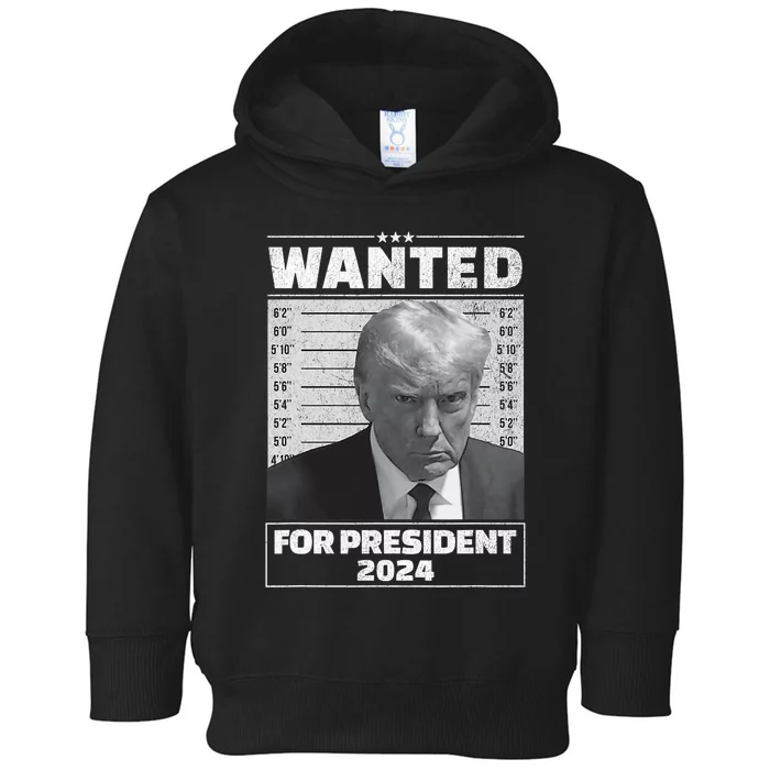 Wanted For President 2024 Trump Mugshot Toddler Hoodie