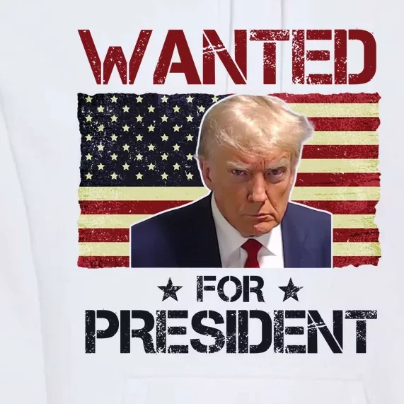 Wanted For President Donald Trump American Flag Premium Hoodie