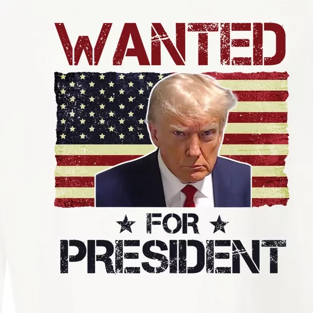 Wanted For President Donald Trump American Flag Cropped Pullover Crew