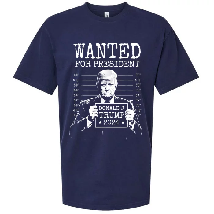 Wanted For President Donald Trump 2024 Mugshot Sueded Cloud Jersey T-Shirt