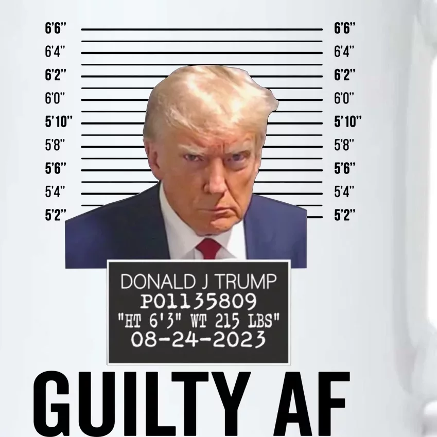 Wanted For President 2024 Trump Mugshot Black Color Changing Mug