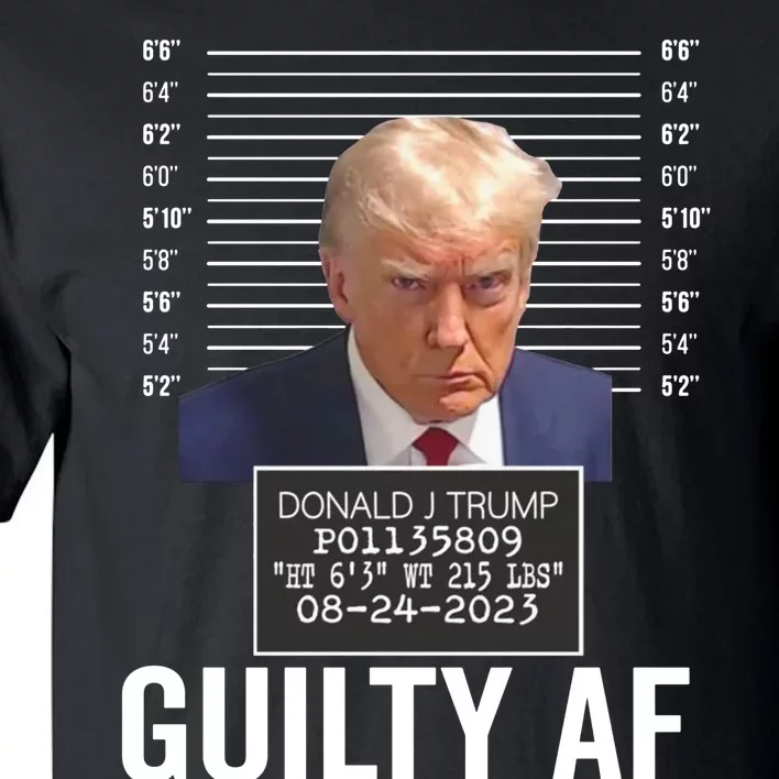 Wanted For President 2024 Trump Mugshot Tall T-Shirt