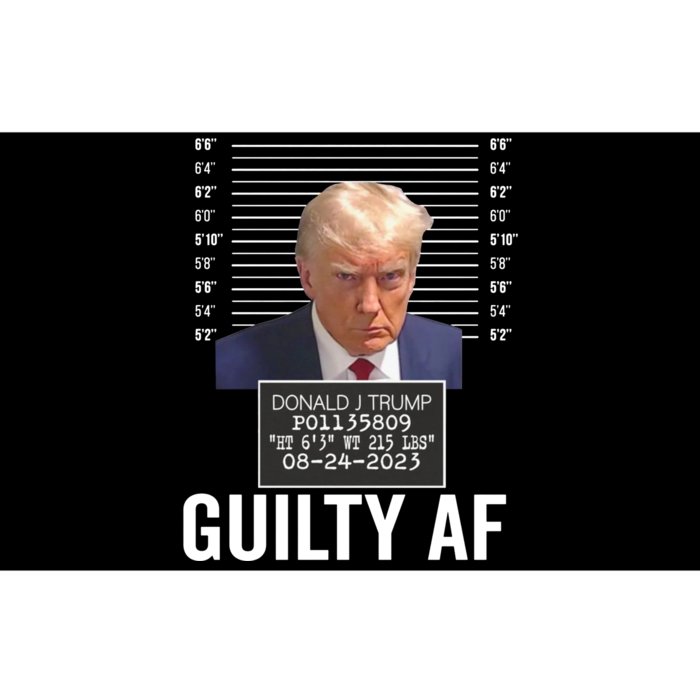 Wanted For President 2024 Trump Mugshot Bumper Sticker