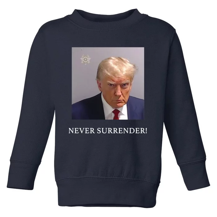 Wanted For President 2024 Toddler Sweatshirt