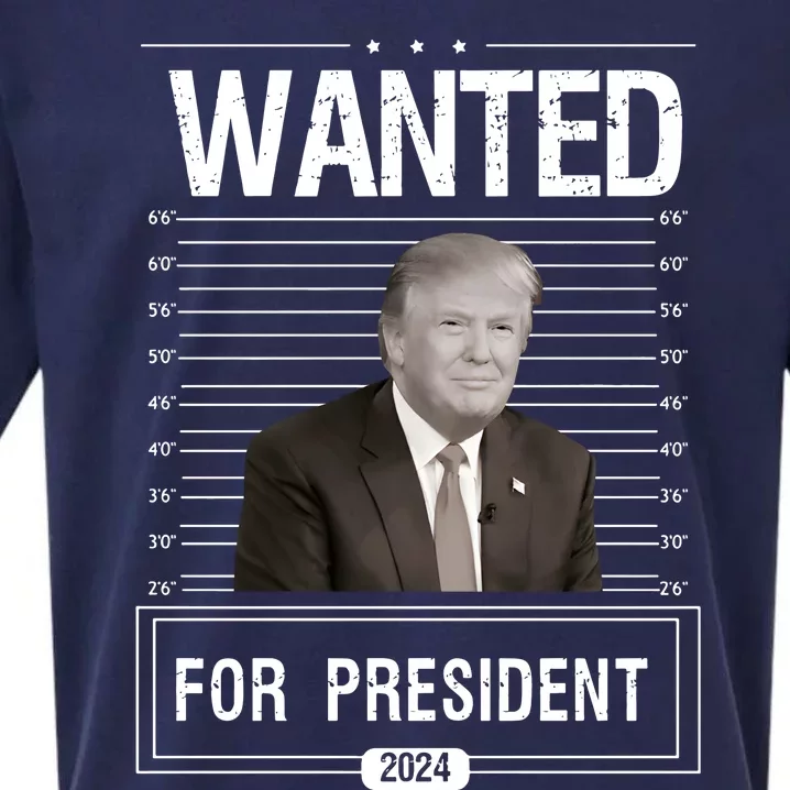 Wanted For President Trump 2024 Sueded Cloud Jersey T-Shirt