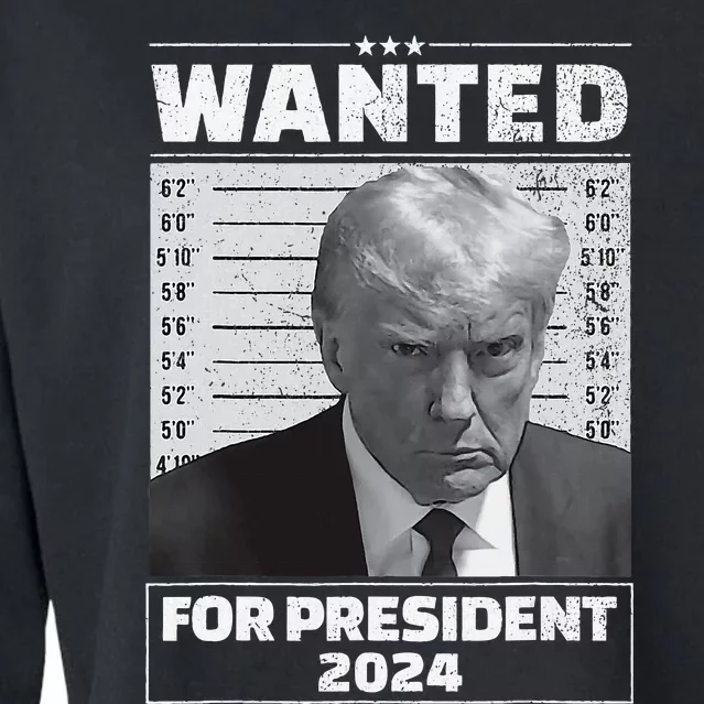 Wanted For President 2024 Trump Mugshot Cropped Pullover Crew