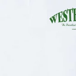 WESTERVILLE Friendliest Town In America Long Sleeve Softstyle Adult Sport Polo