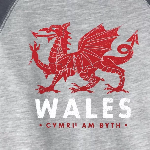 Wales Flag Welsh Dragon Baner Cymru Am Byth Welsh Gift Toddler Fine Jersey T-Shirt