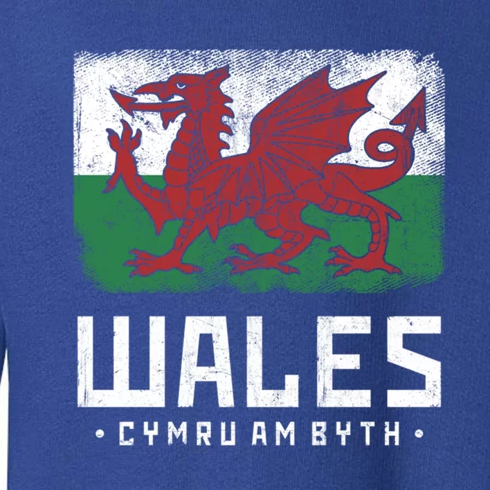 Wales Flag Welsh Dragon Banner Cymru Am Byth Welsh Gift Toddler Sweatshirt